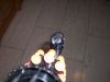 Filename=TomX_BG_07.jpg
Filesize=92KB
Dimensions=640x480
Date added=Feb 11, 2008 TomX_BG_07.jpg
